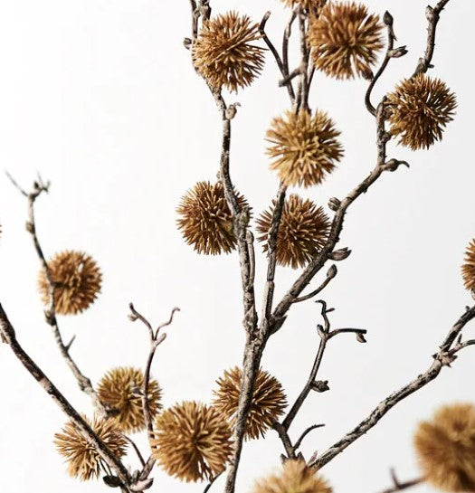 Sycamore Spray - Natural