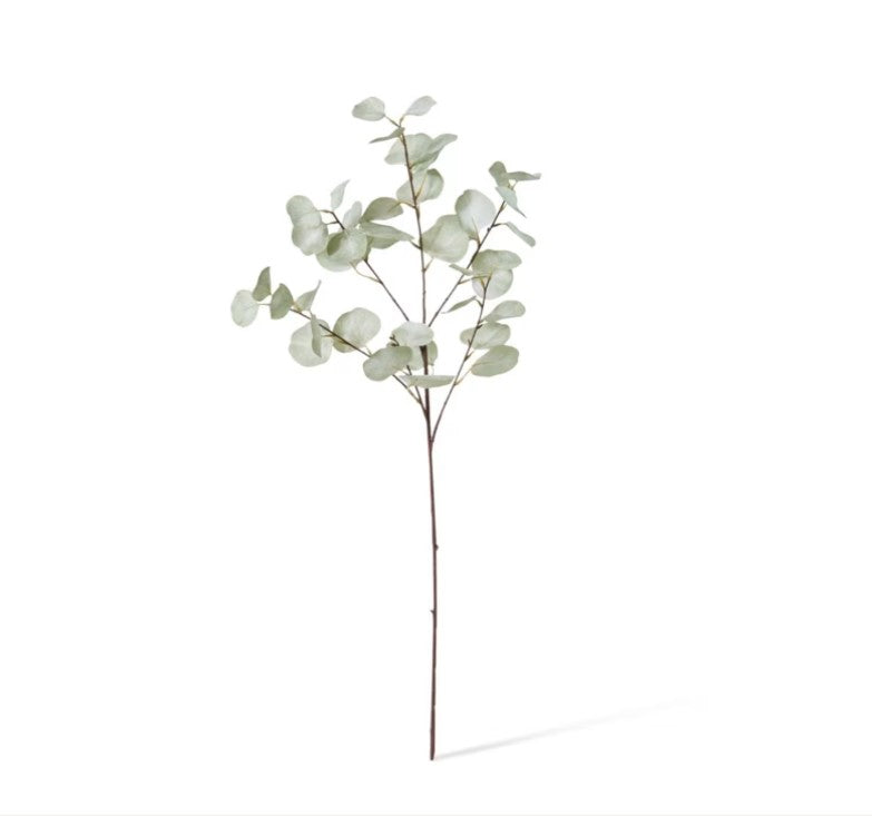 Eucalyptus Dollar Spray
