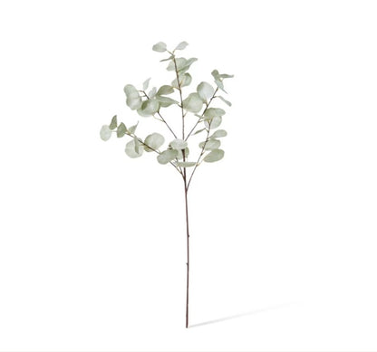 Eucalyptus Dollar Spray