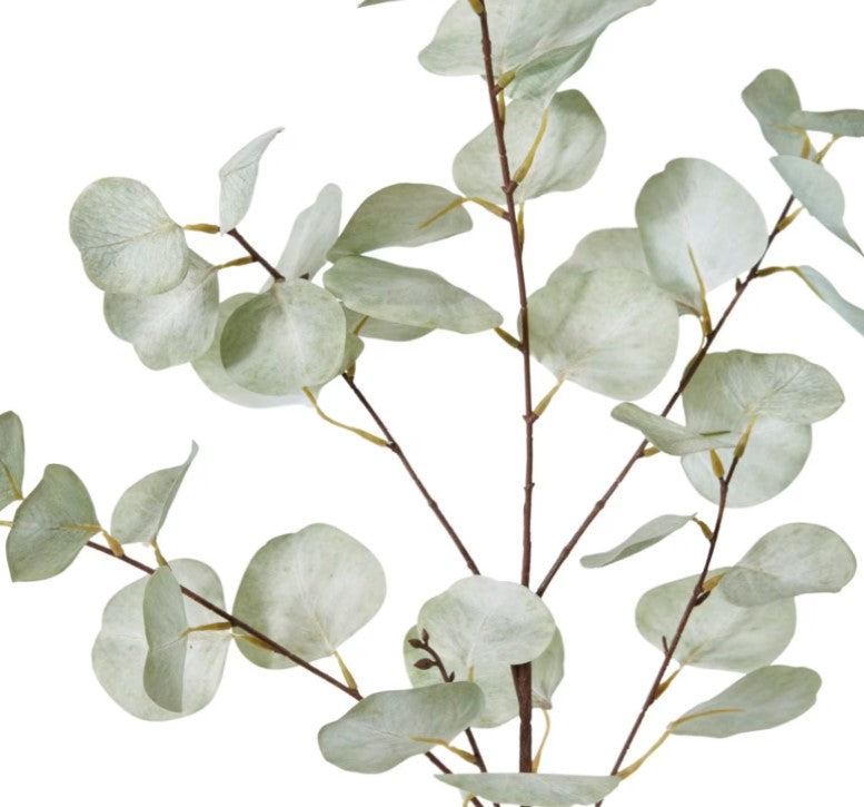 Eucalyptus Dollar Spray