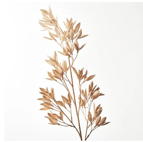 Michelia Spray - Coffee