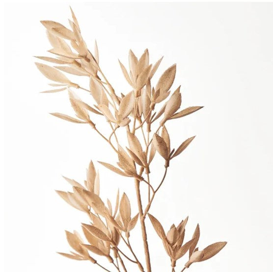 Michelia Spray - Coffee