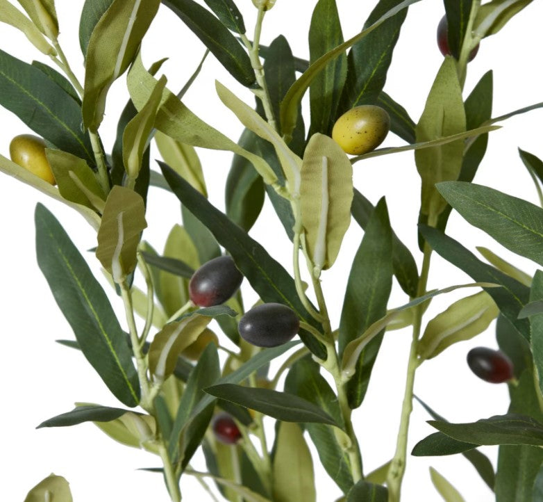 Olive Tree-91cm