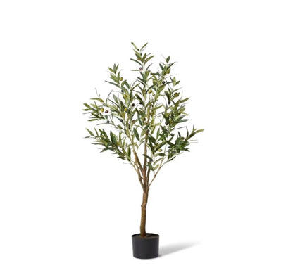 Olive Tree-91cm