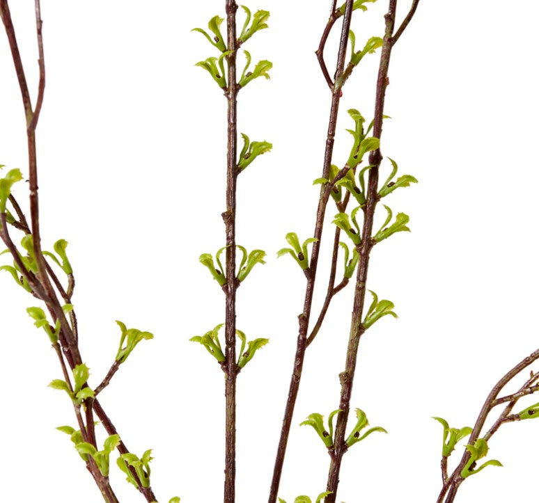 Spring Bud Leaf Spray - Green