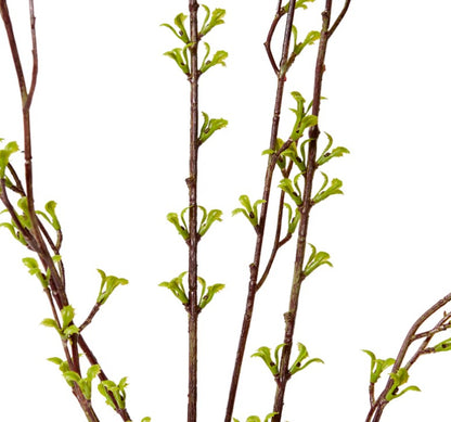 Spring Bud Leaf Spray - Green
